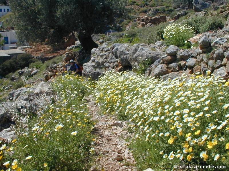 Photo report of a visit around Sfakia, Sougia and Loutro, southwest Crete, April 2007